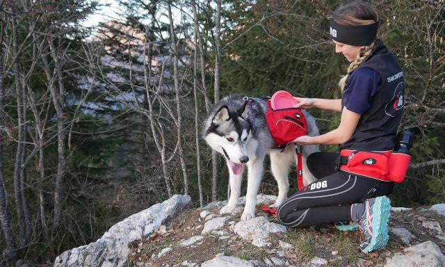 Baudrier confort trek - HAPPY ZOO SHOP