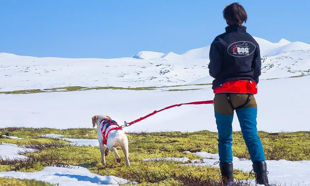 Longe confort trek - HAPPY ZOO SHOP