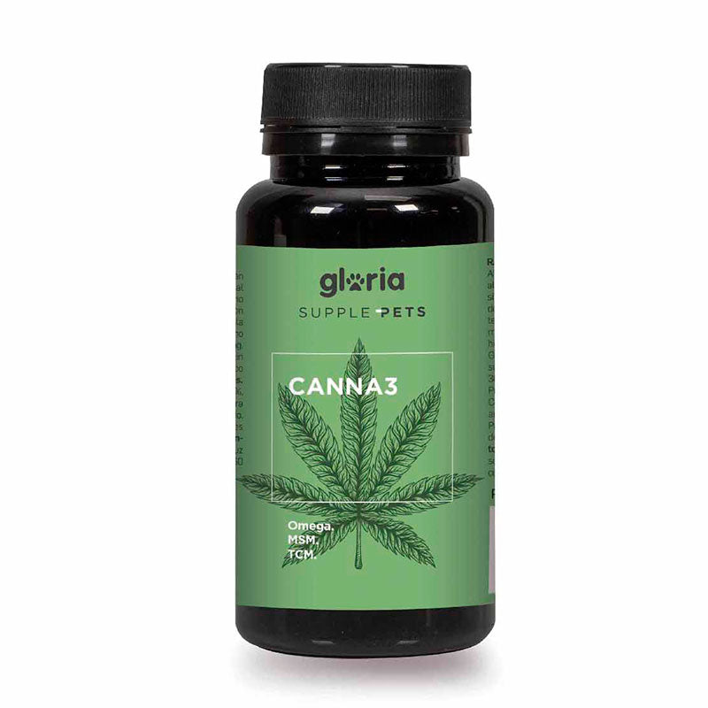 Canna 3