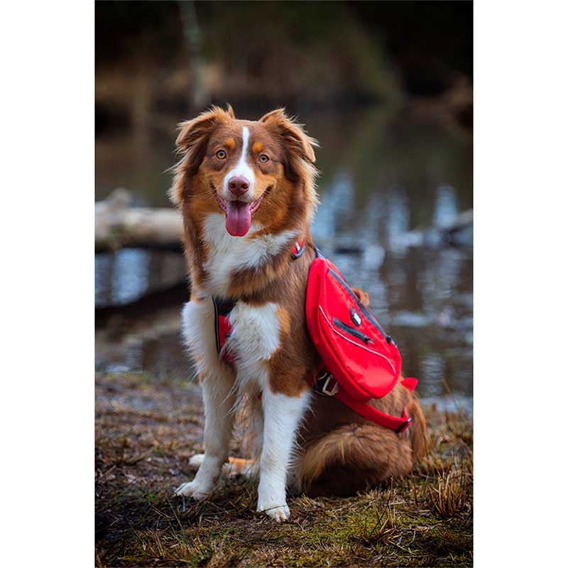 Sacoche confort trek idog