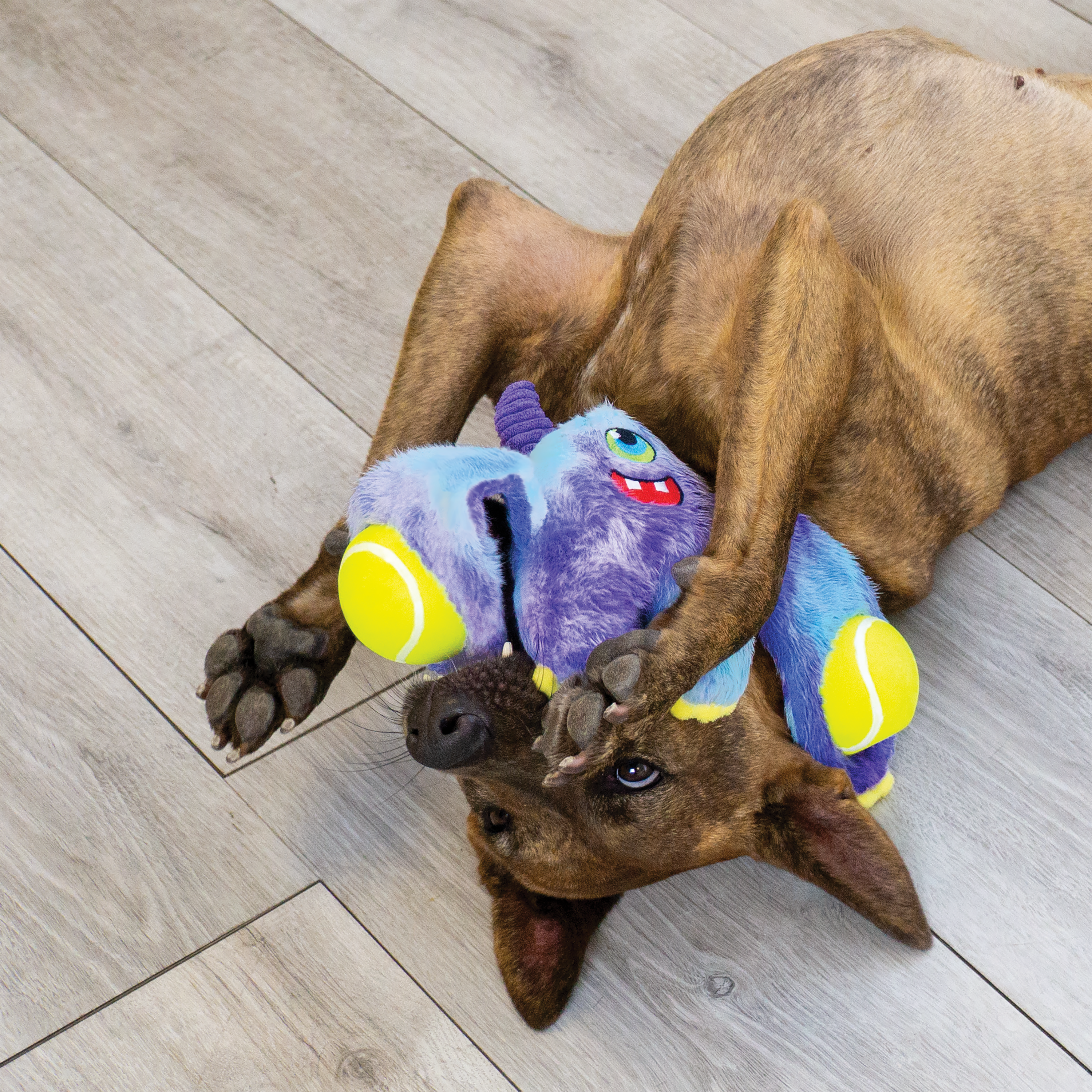 Kong woozles monster M