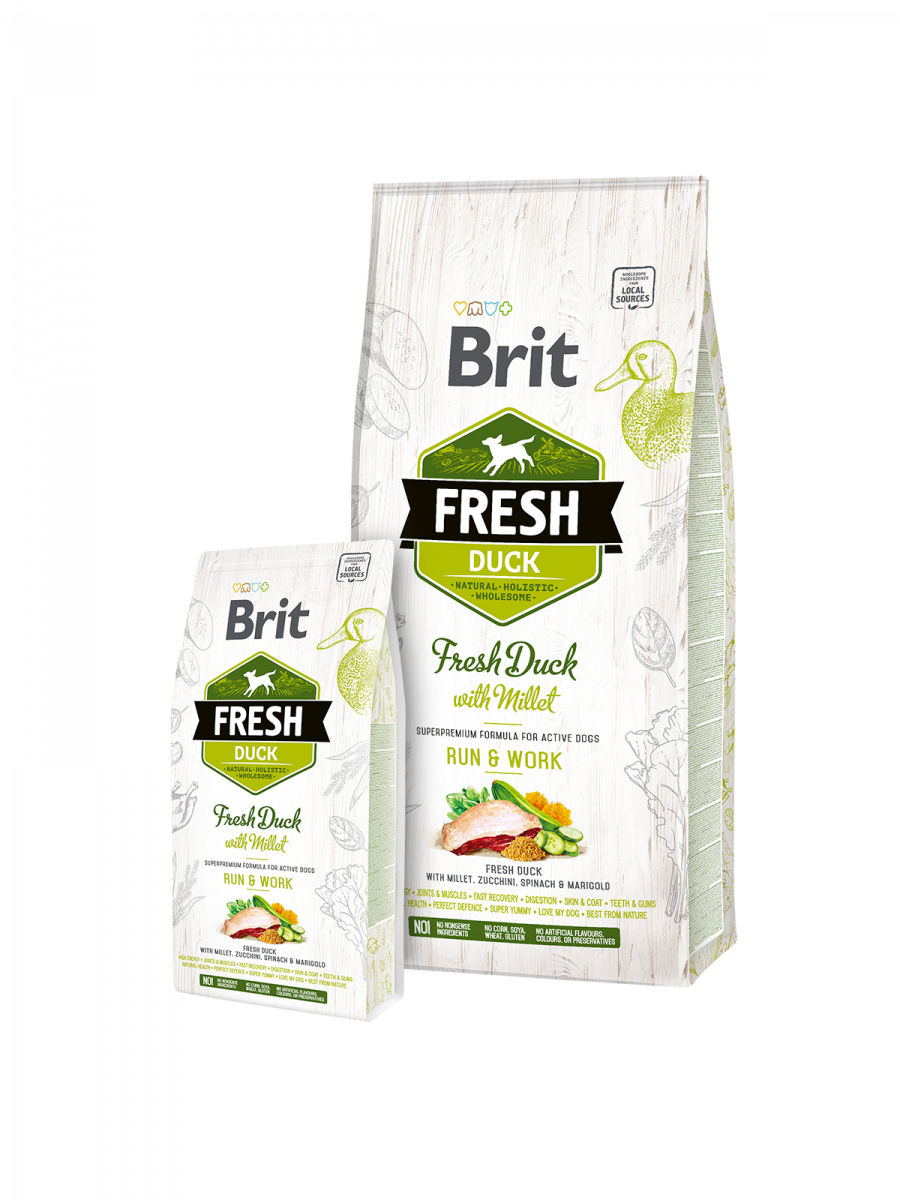 Adulte Energy - canard & millet - Brit Fresh
