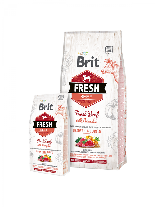 Puppy large - boeuf & courge Brit Fresh