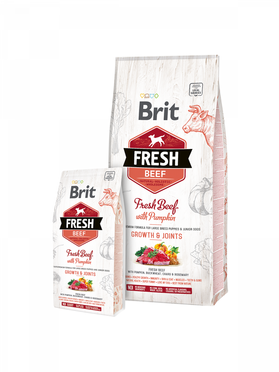 Puppy large - boeuf & courge Brit Fresh