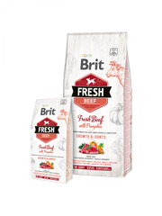 Puppy large - boeuf & courge Brit Fresh