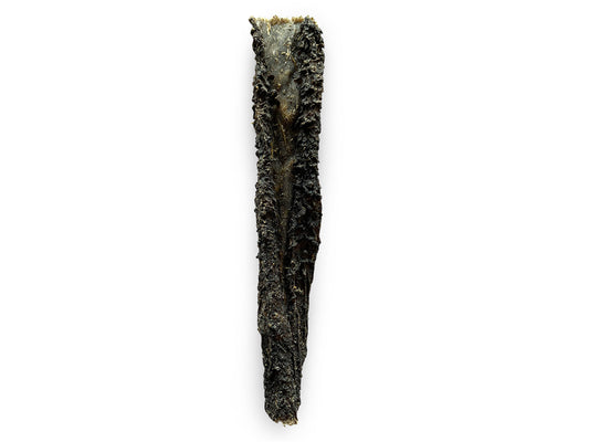 PANSE DE CHAMEAU VRAC