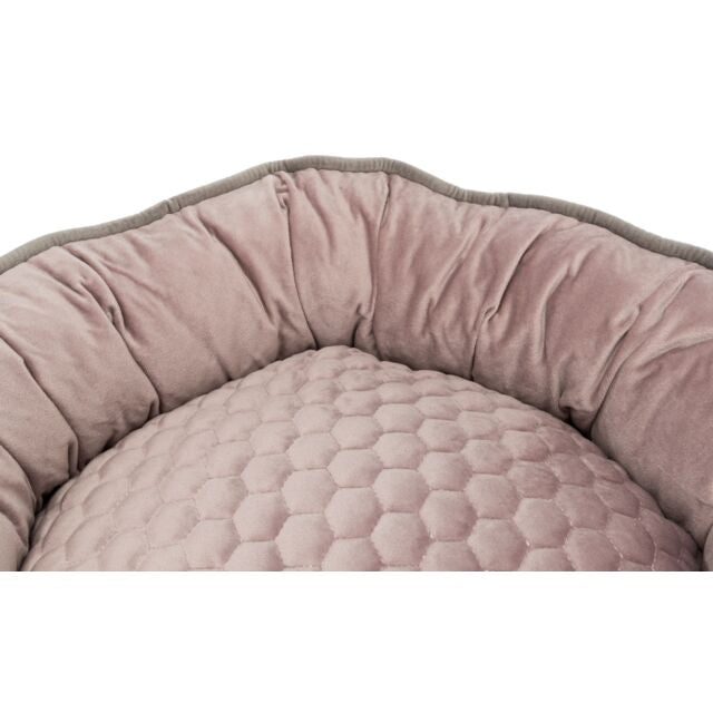 COUSSIN LIVIA ROSE 50