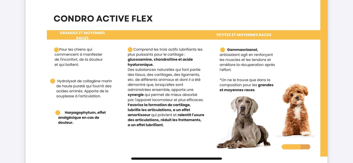 Condro active flex