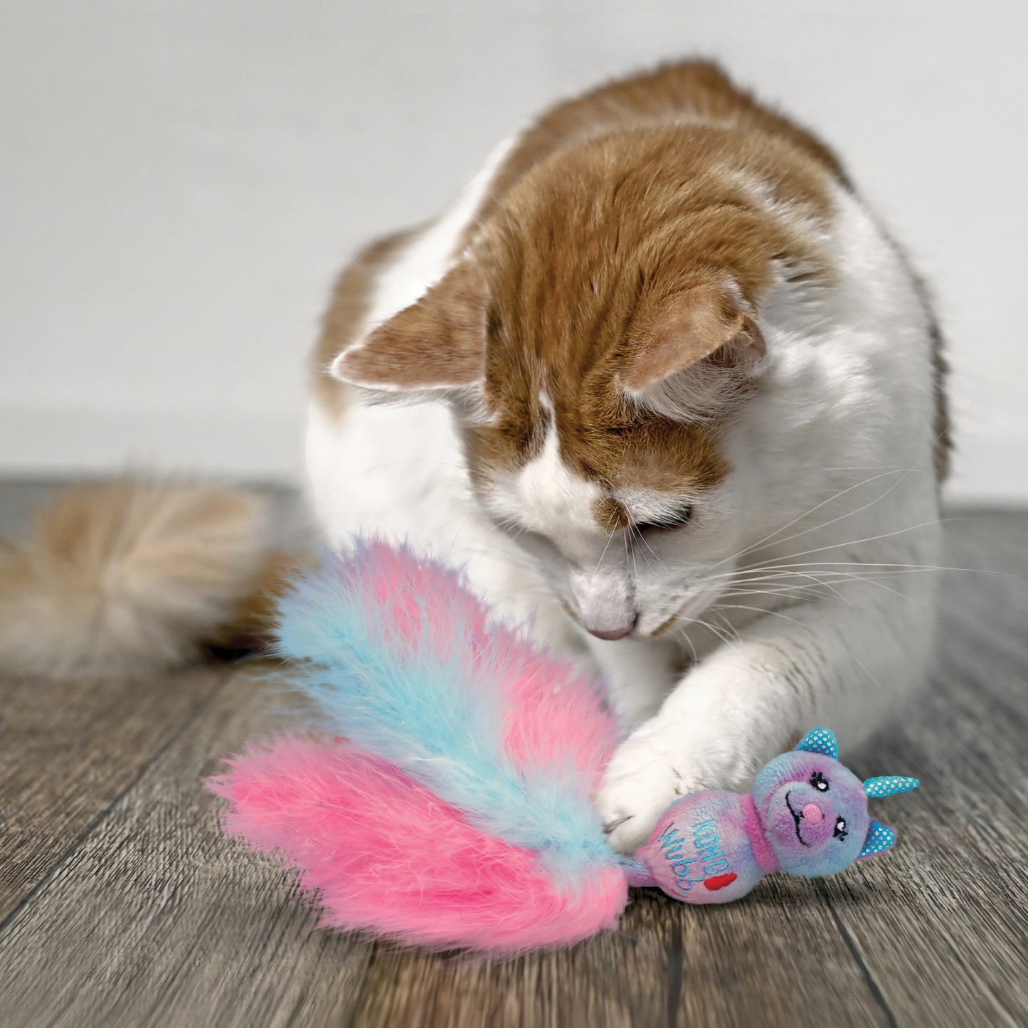 Kong cat wubba caticorn