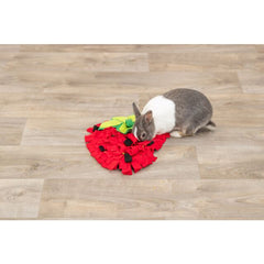 Tapis de fouille fraise