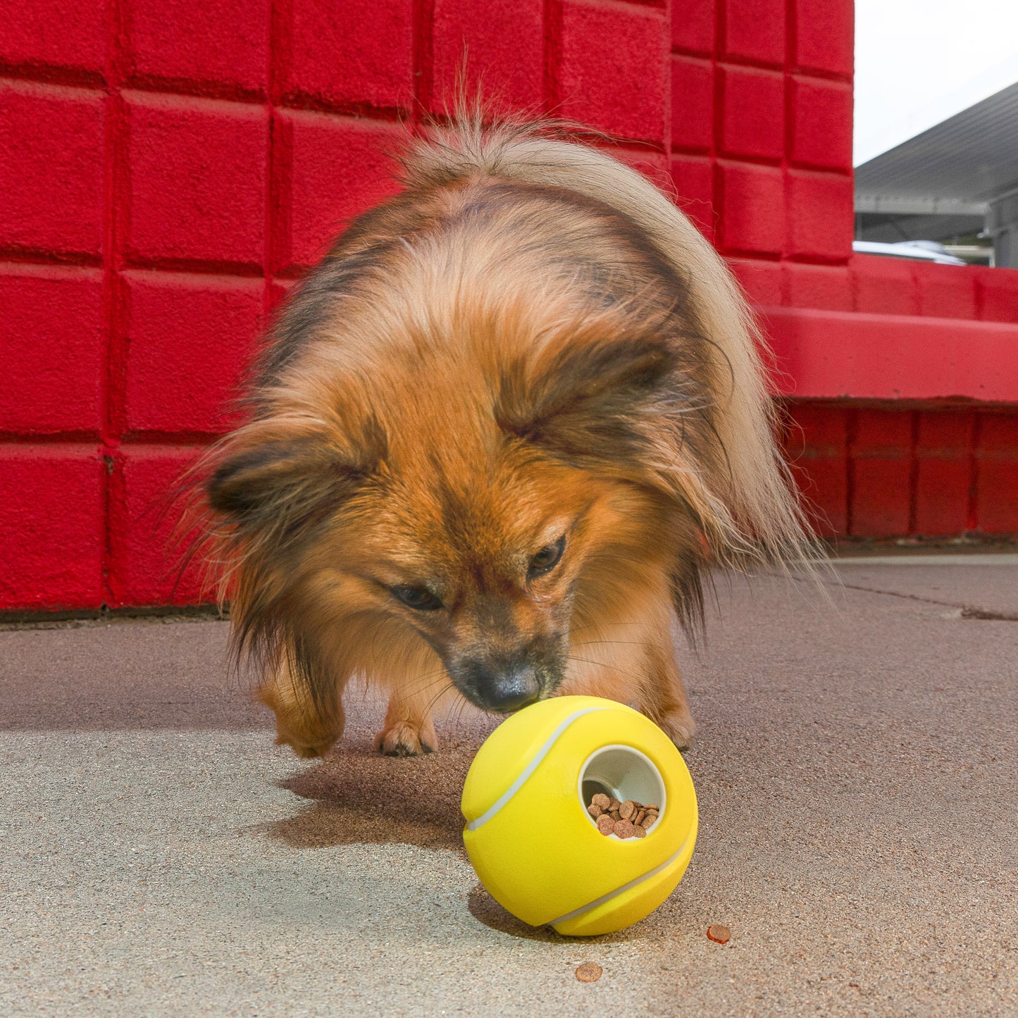 Kong rewards tennis