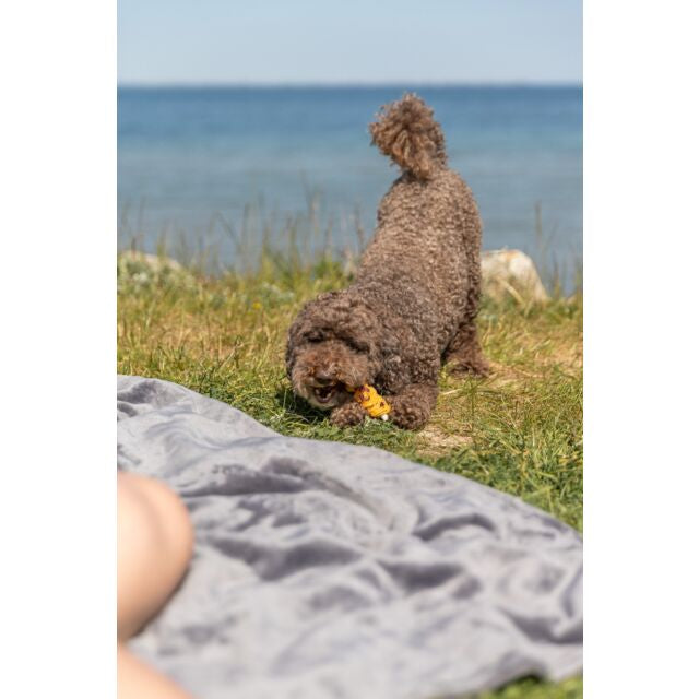 Lolly poitrine de poulet cramberry