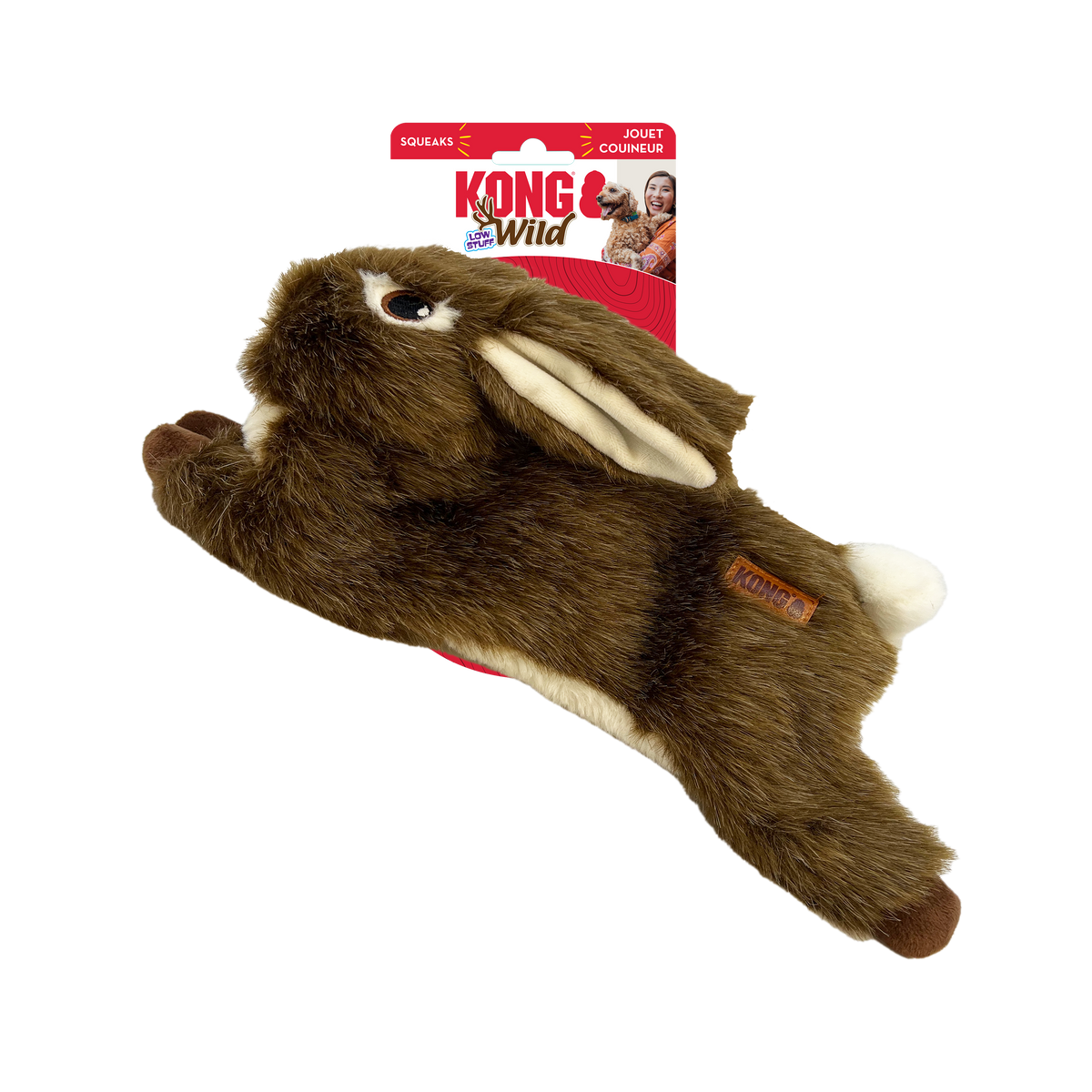 Kong wild lapin
