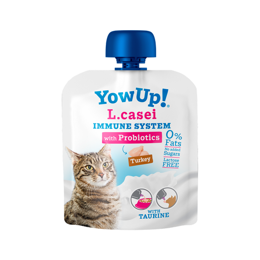 YowUp immune système chat
