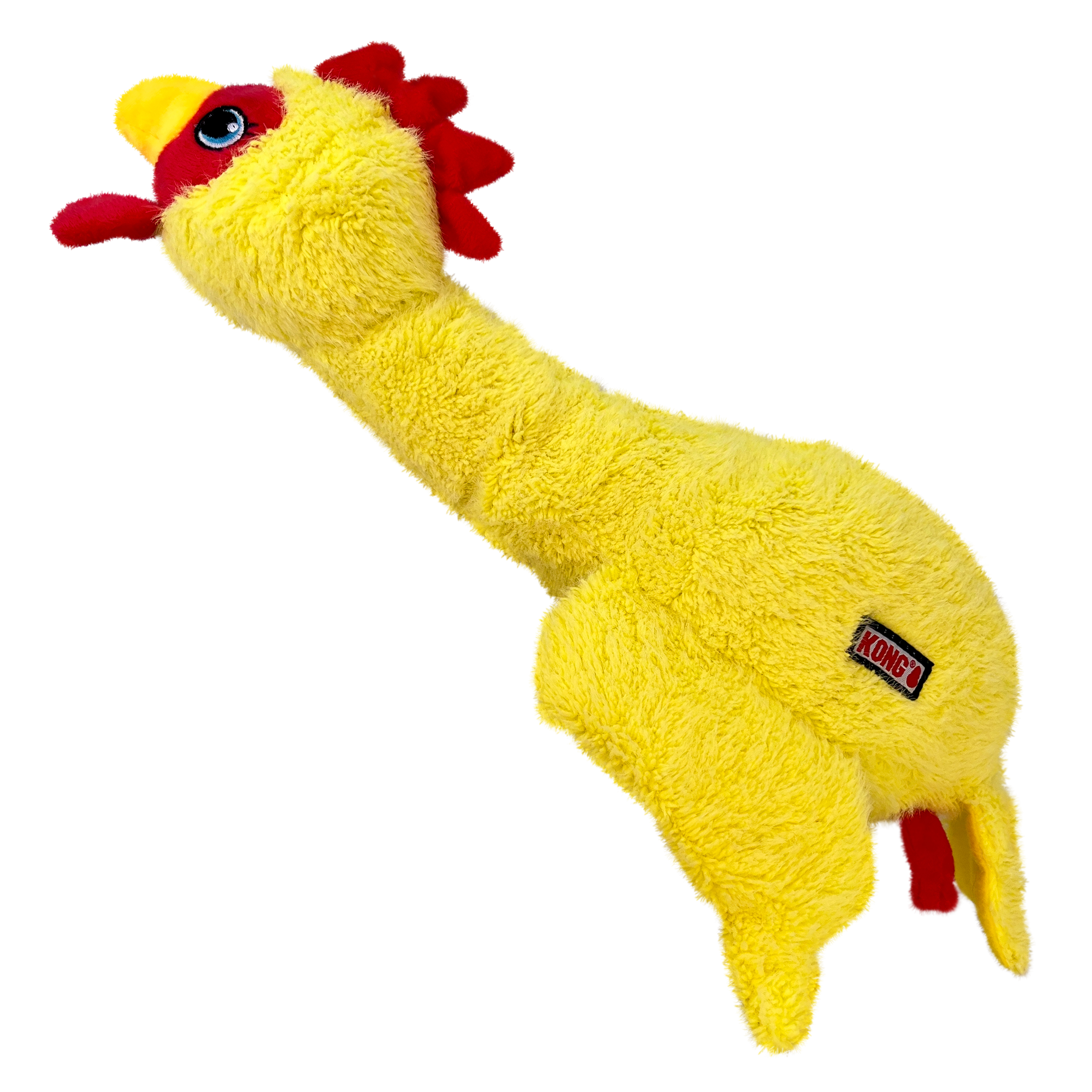 Kong Scruffs poulet