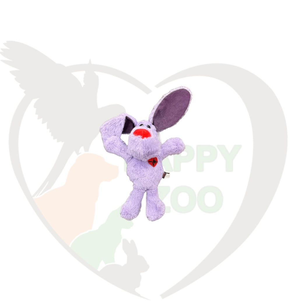 Chien de St Valentin