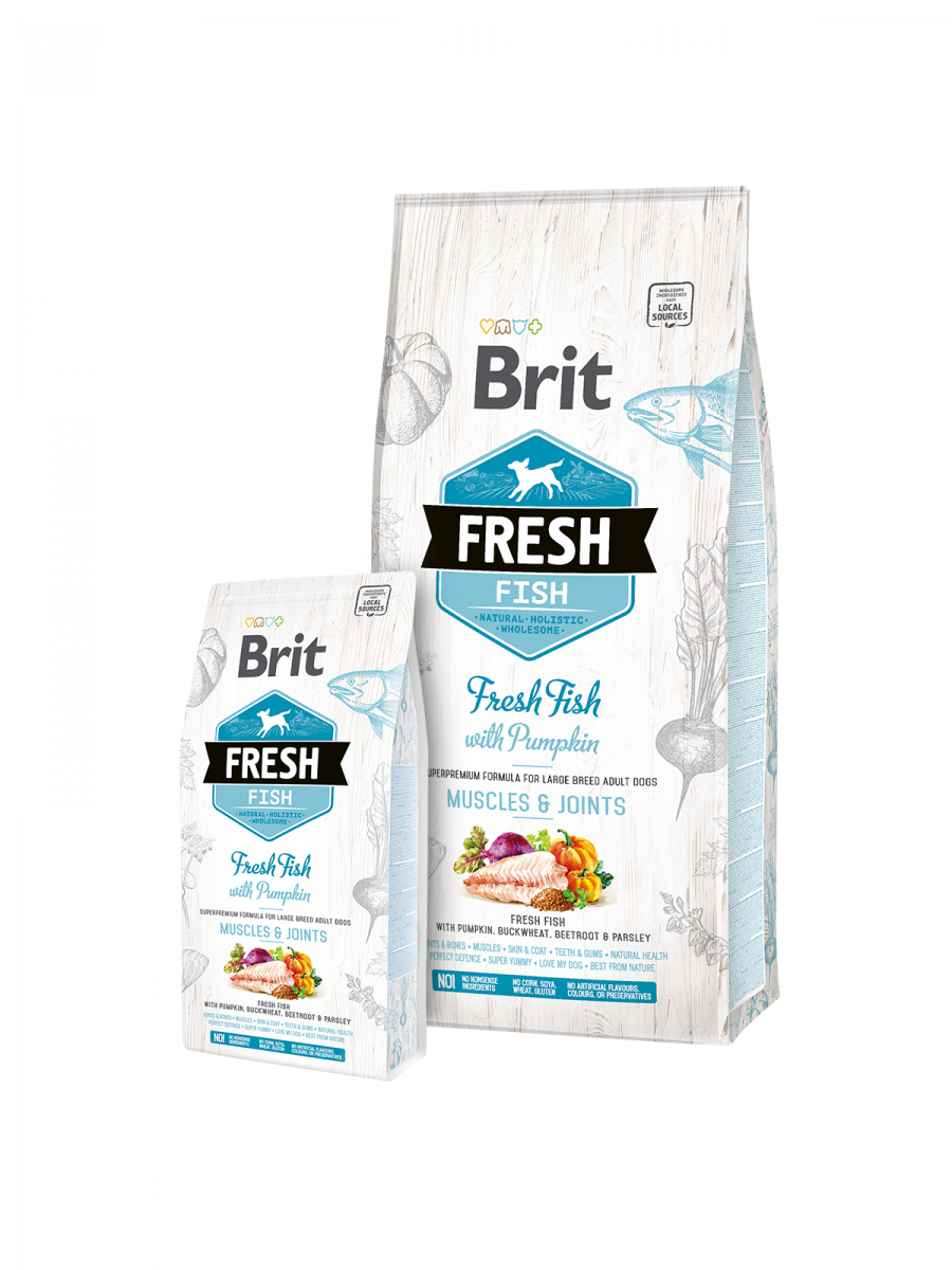 Adulte Large - poisson & courge - Brit Fresh