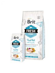 Adulte Large - poisson & courge - Brit Fresh