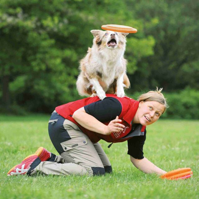 DOG DISC, APTE AU TOURNOI, EN PLASTIQUE, O 19 CM