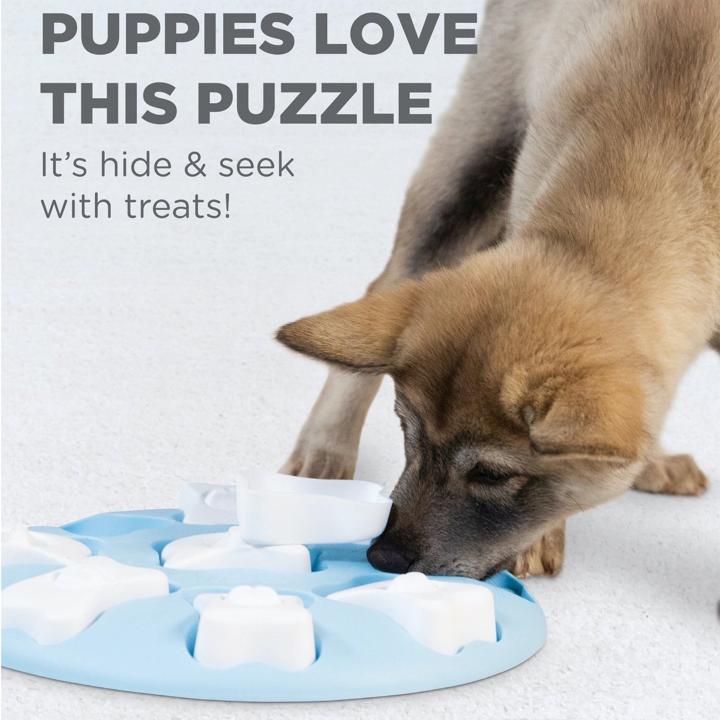 PUPPY SMART NINA