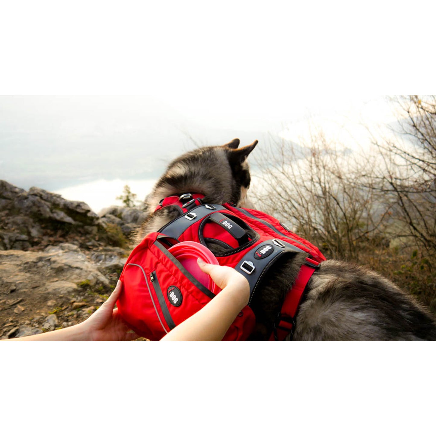 Sacoche confort trek idog