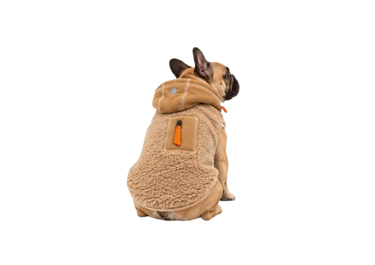 Sweet le pelucheux