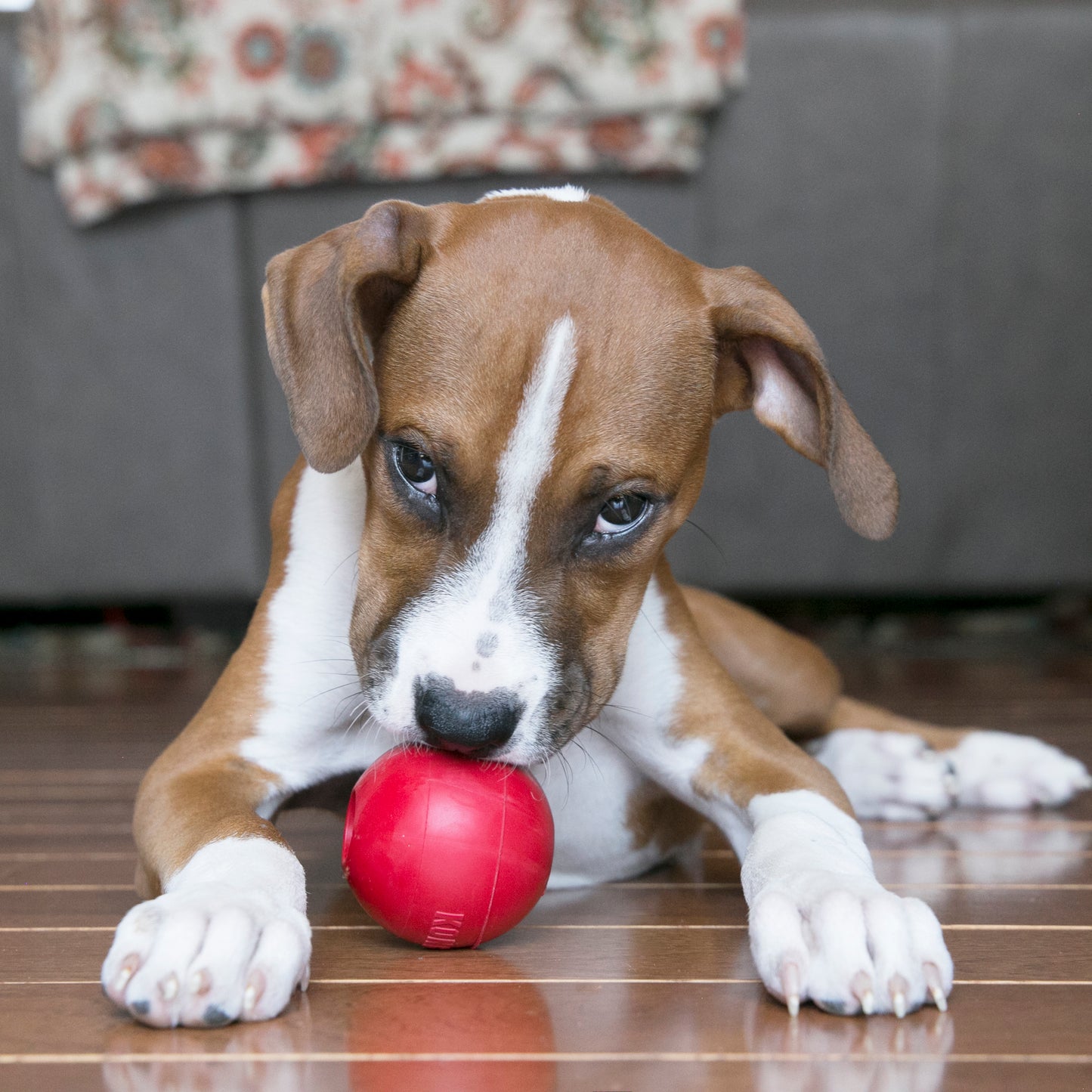 Kong ball