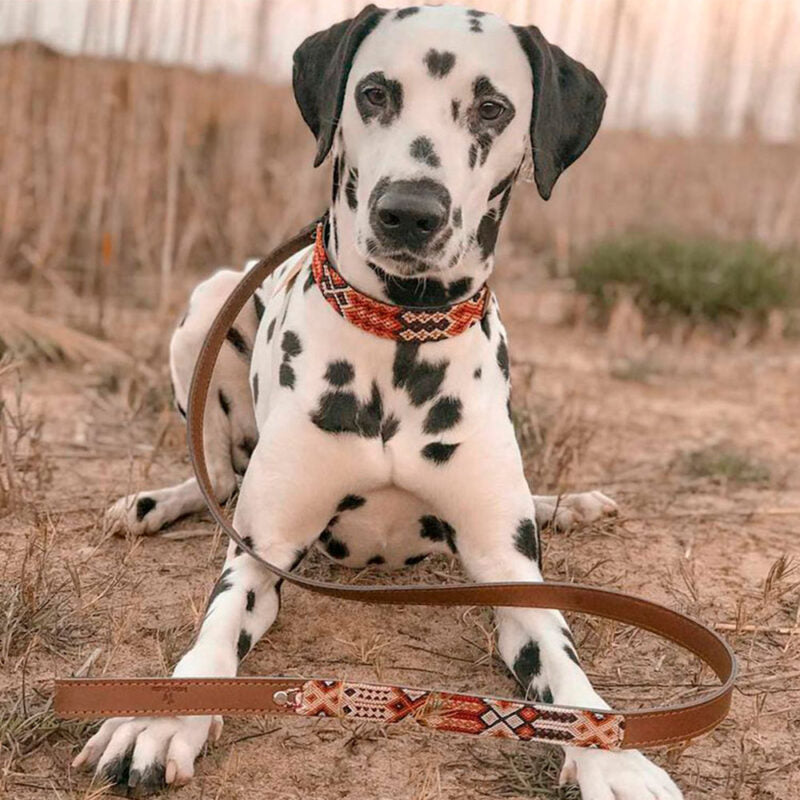 Collier Chavo