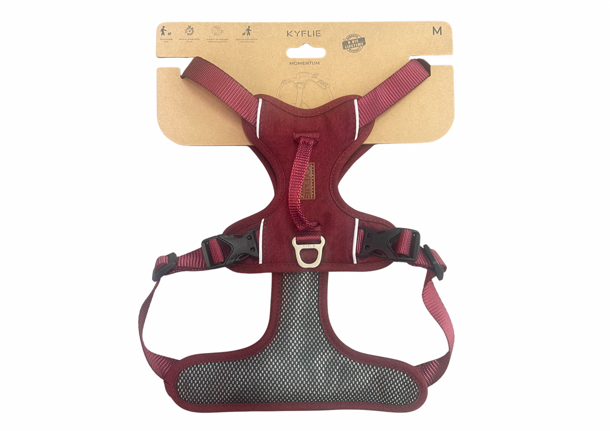 Harnais Momentum Kyflie OneShot bordeaux