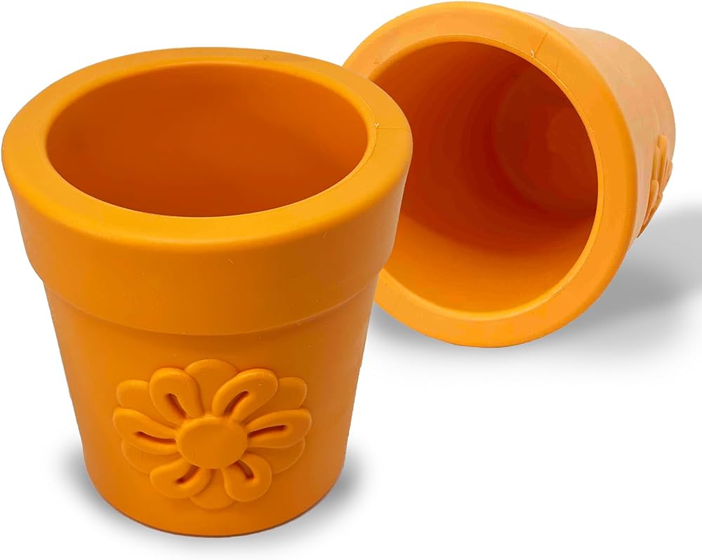 Pot de fleur orange sodapup