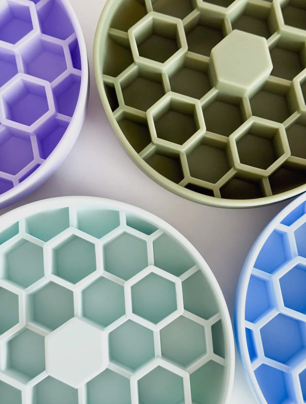 Gamelle d’enrichissement abeille 3D