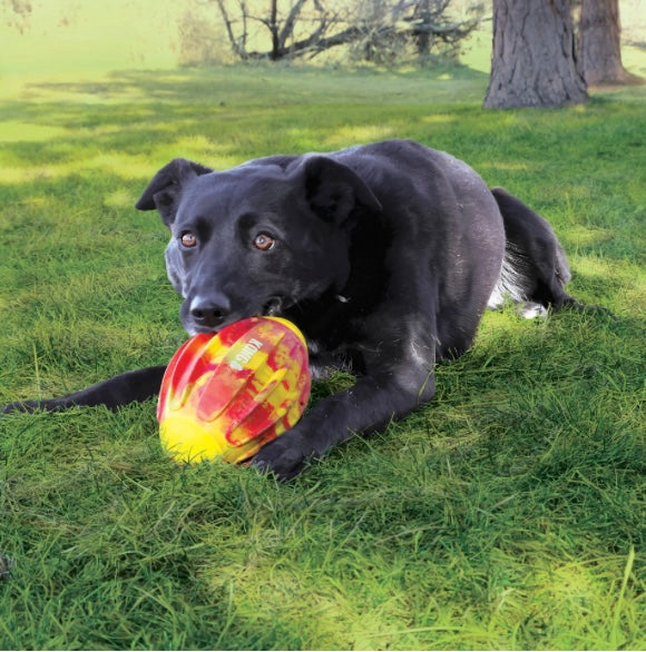 KONG flexball sport football M