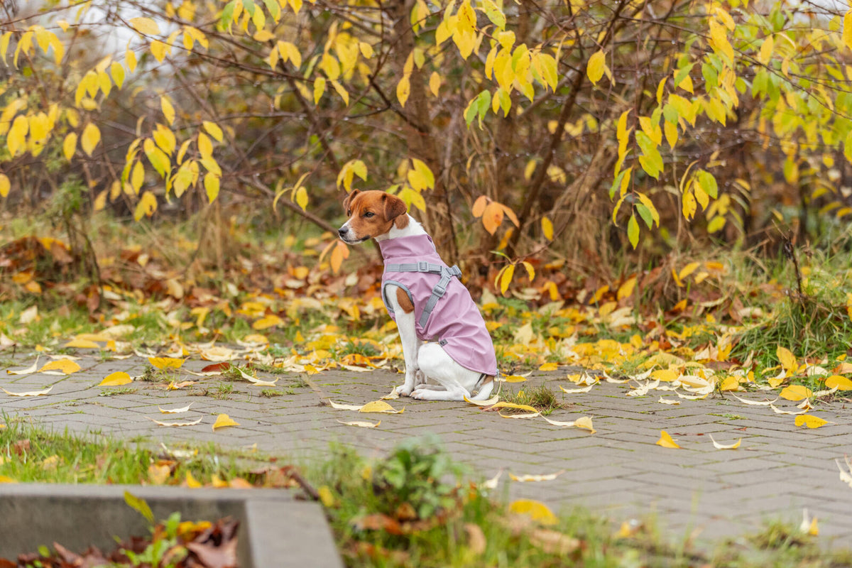 Manteau pontis Rain avec harnais Rose