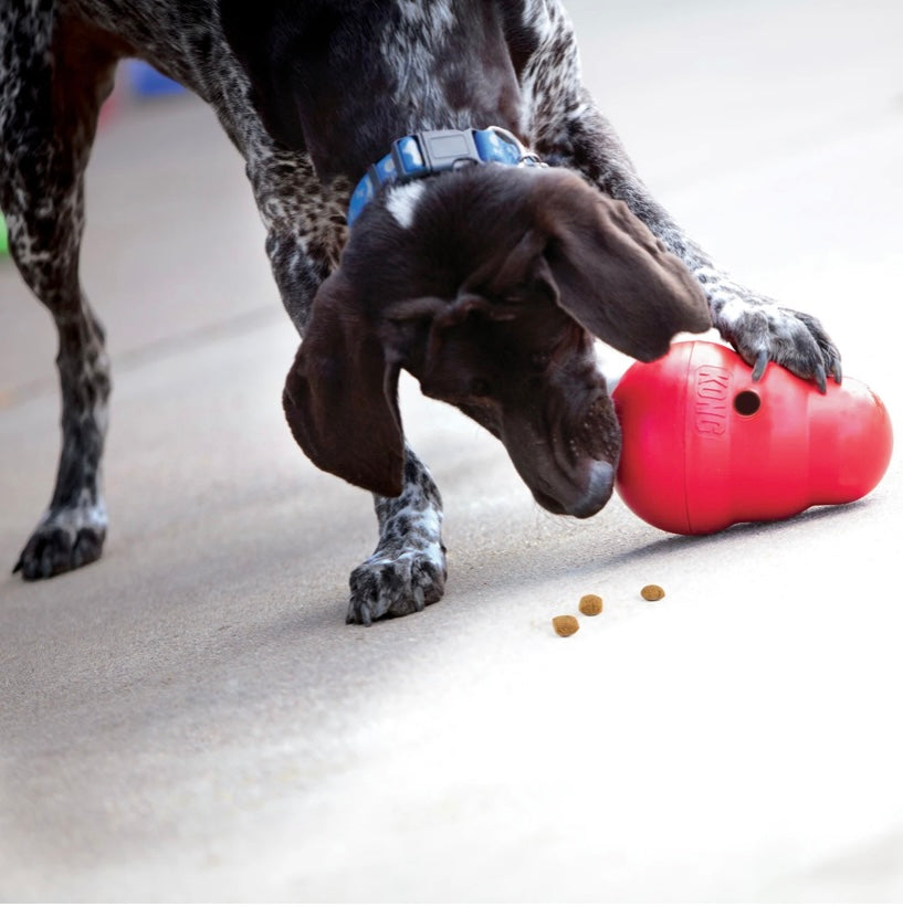Kong Wobbler S