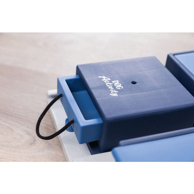 DOG ACTIVITY POKER BOX 1