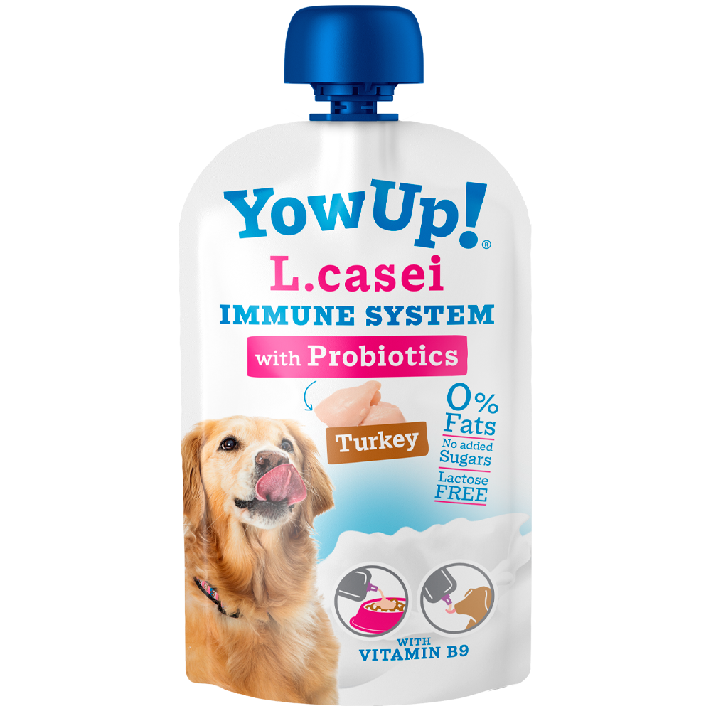 YowUp immune système chien