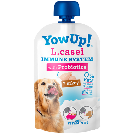 YowUp immune système chien