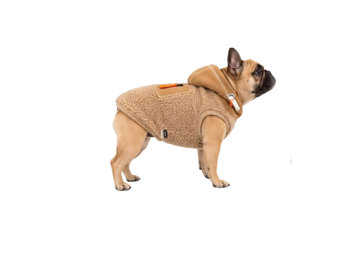 Sweet le pelucheux