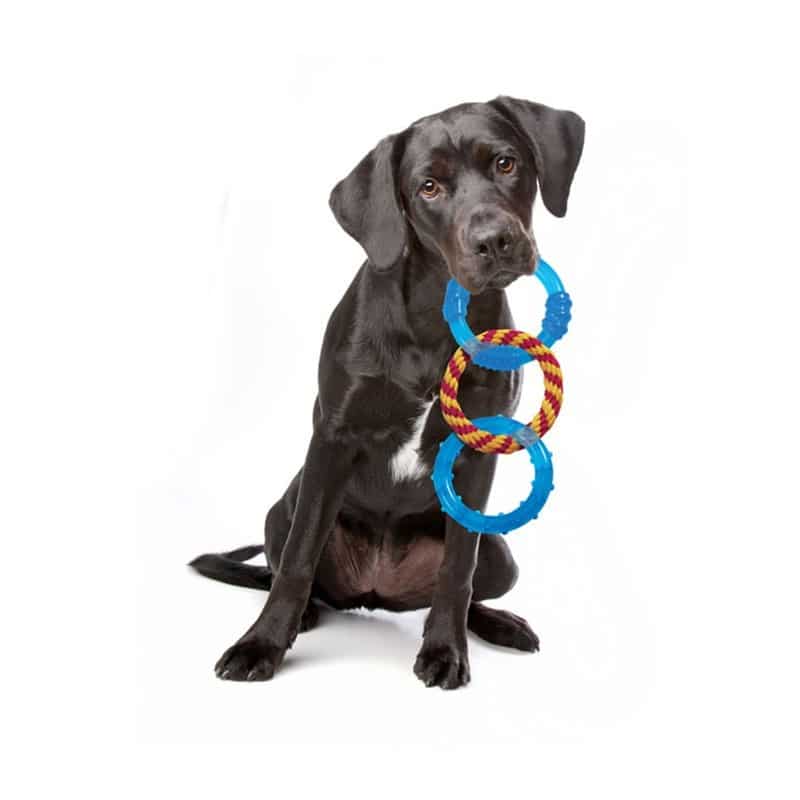 Orka dental links