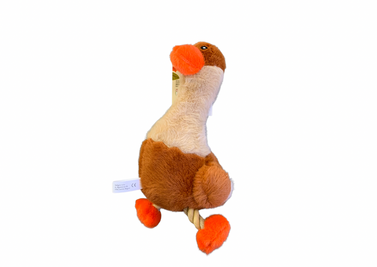 Canard automne