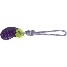 Aubergine sur corde TPR