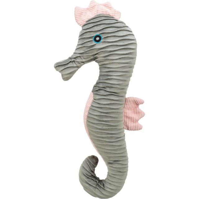 Hippocampe