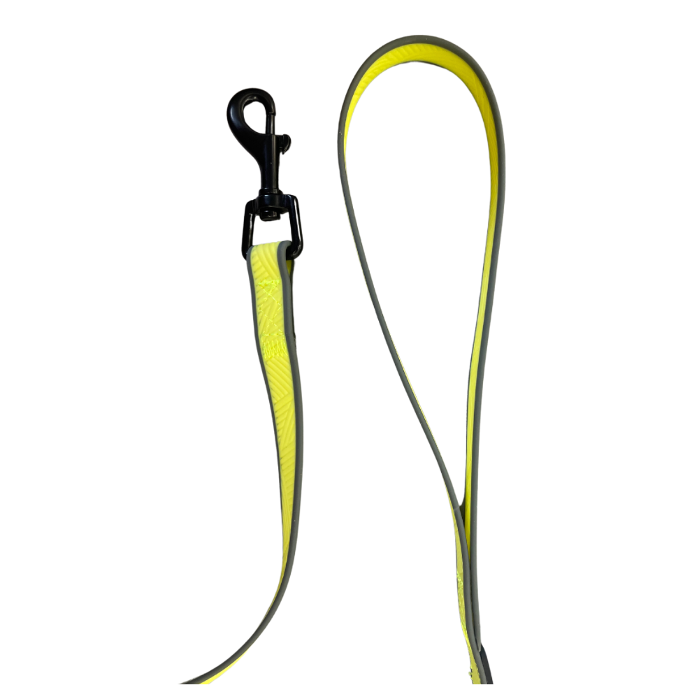 Laisse amphibian longue 1,80m