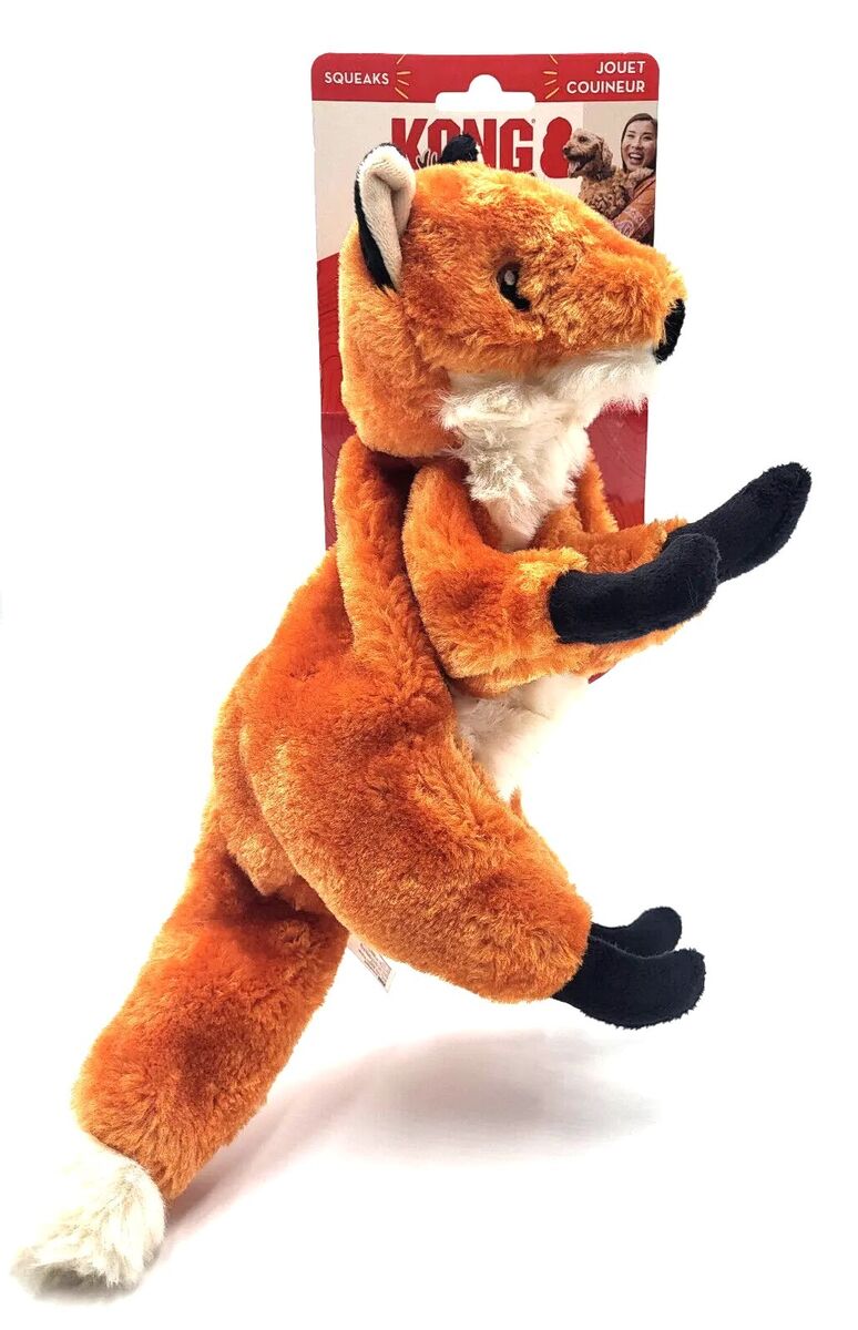 Kong wild renard