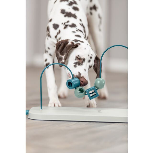 Jeux d’intelligence skills loop