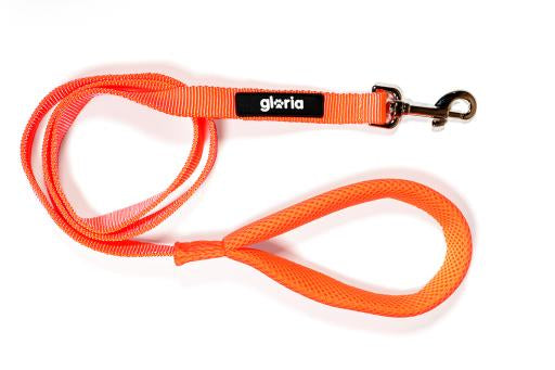 Laisse trekstar