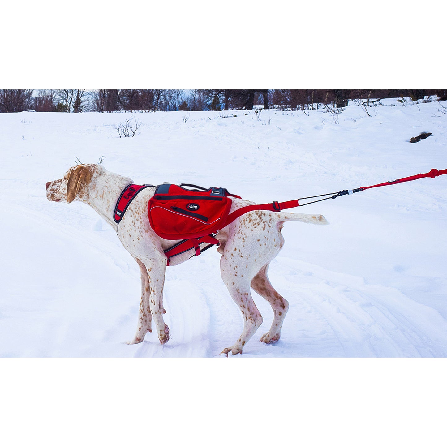 Sacoche confort trek idog