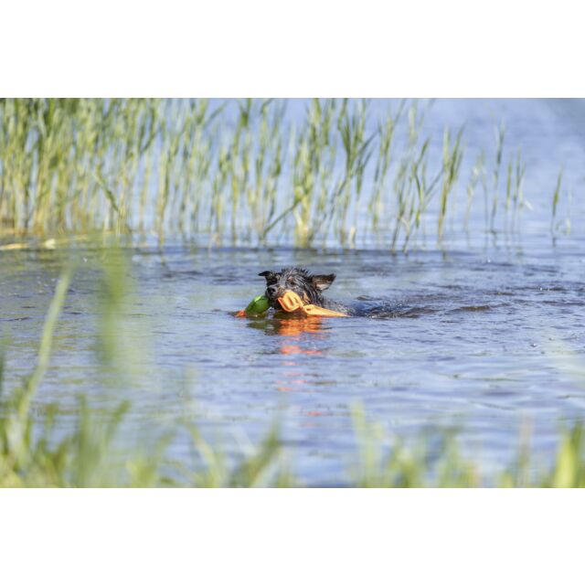 Canard flottant