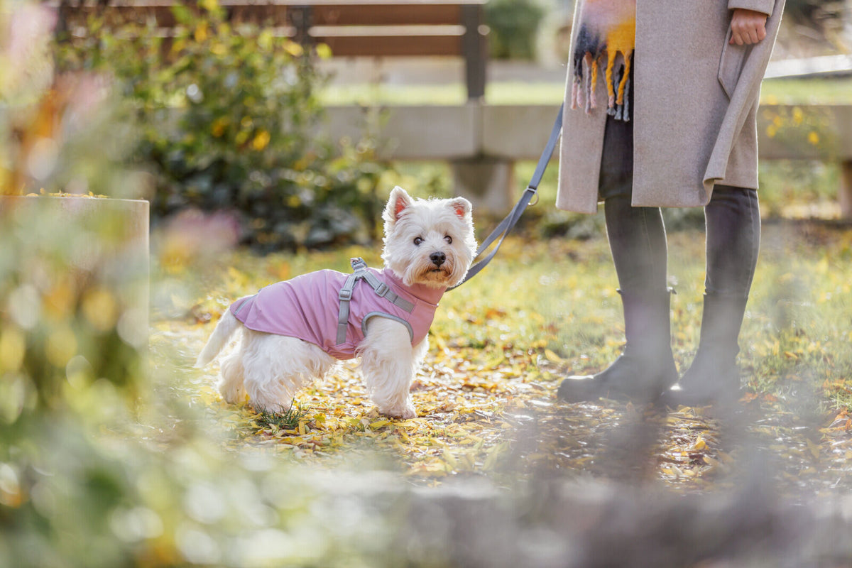 Manteau pontis Rain avec harnais Rose