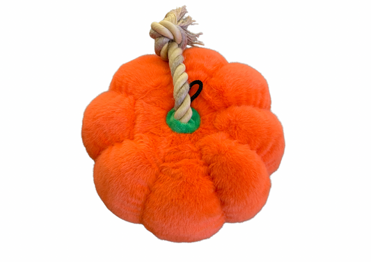 Citrouille automne